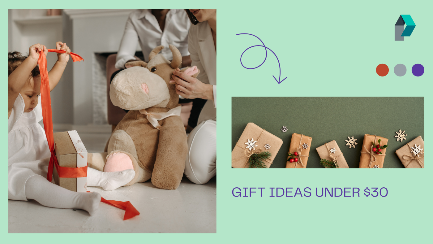 Gift Ideas Under $30